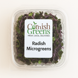 Radish Microgreens – Spicy, Crisp & Colourful