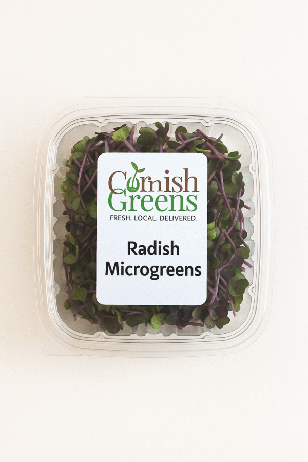 Radish Microgreens – Spicy, Crisp & Colourful