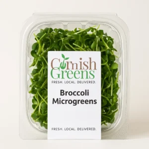 Broccoli microgreens in eco-friendly packaging – freshly harvested, nutrient-rich, and grown locally by Cornish Greens