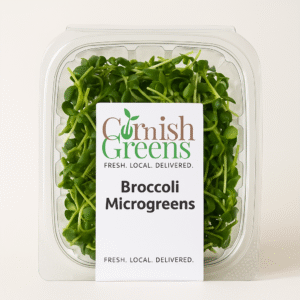 Broccoli Microgreens – Mild, Nutritious & Versatile