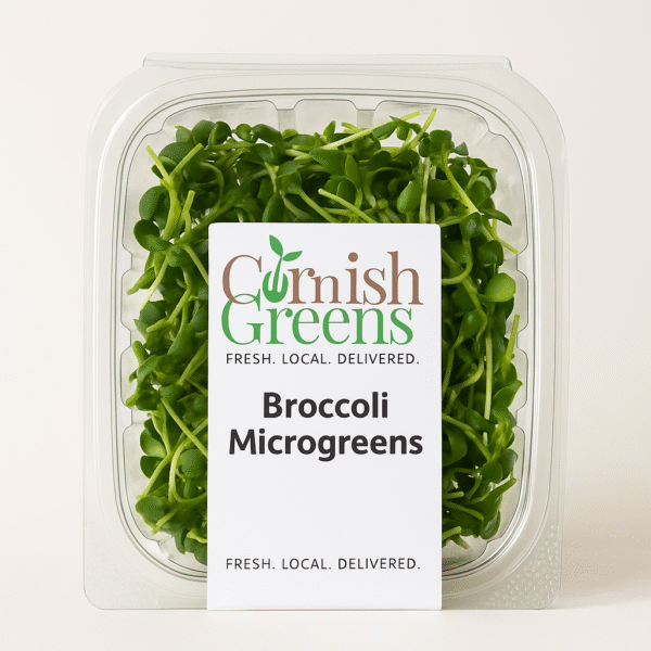 Broccoli Microgreens – Mild, Nutritious & Versatile