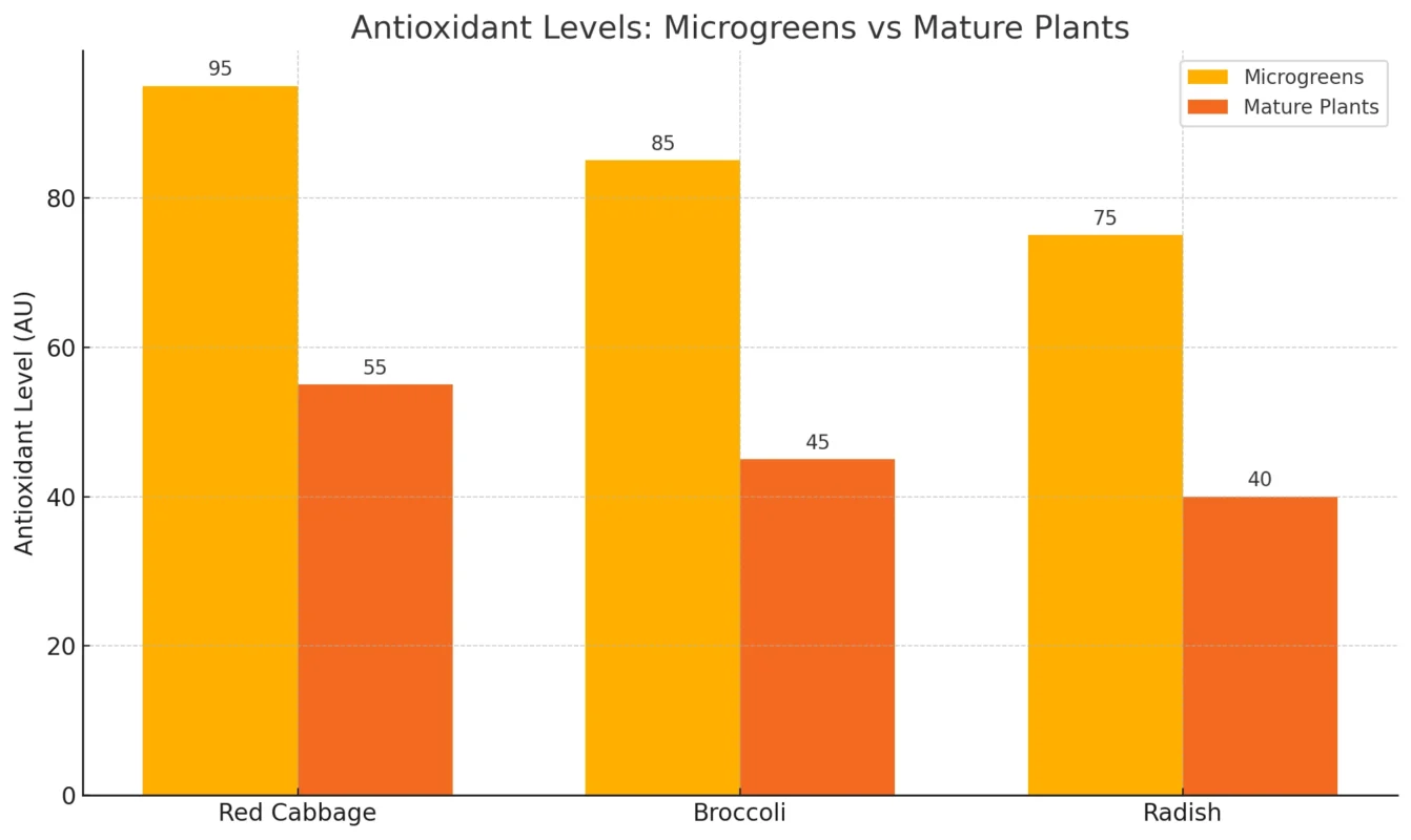 Bar chart infographic comparing antioxidant levels in microgreens vs mature plants, highlighting the antioxidant power of microgreens